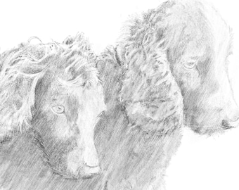 Custom Pencil-Style Pet Portrait | Hand-Drawn Digital Art from Photo | Personalized Christmas Gift for Pet Lovers | Memorial or Wall Art