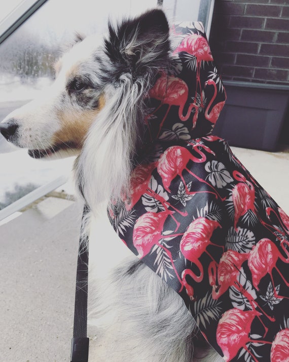 Flamingo raincoat best sale