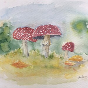 Amanita