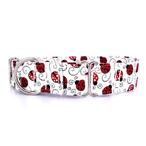 Martingale Dog Collar Ladybugs Ladybug Dog Collar Lady Bug Red Size XS XL Adjustable 1 Inch 1.5 Inch or 2 Wide Greyhound Collar Red Etsy