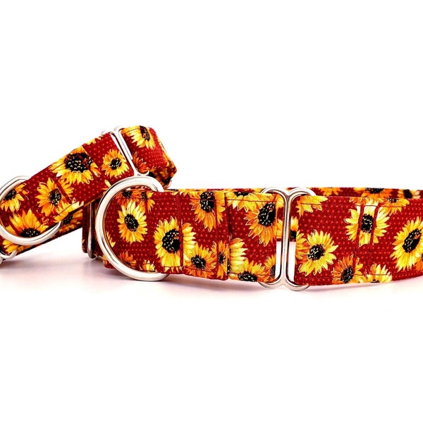 Martingale Dog Collar Sunflowers Golden Sunset Red size XS-XL Adjustable 3/4", 1", 1.5 inch or 2 inch wide Sunflower Dog Collar Fall Collar