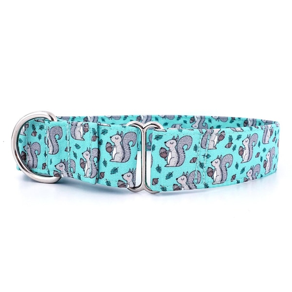 Martingale Dog Collar Squirrel cute with Acorns on turqoise Size XS-XL Adjustable 3/4", 1", 1.5 inch or 2 inch wide Fall Collar Squirrels