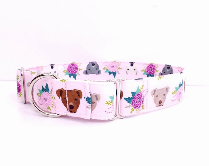 Martingale Pitbull Dog Collar Pit Bulls Pittie in Pink With Flowers