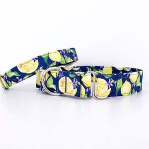 Collar Martingala para Perros Limones y Lilas: Tallas Ajustables XS-XL