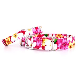 Martingale Dog Collar Hawaii Hot Pink Flowers, adjustable sizes XS-XL, 3/4", 1", 1.5" and 2", Tropical Flowers Collar, Plumeria, Hibiscus