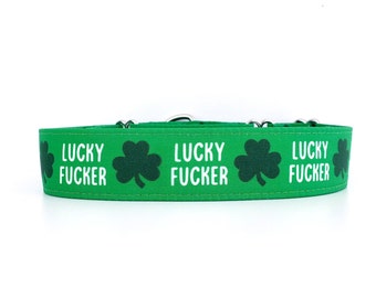 Martingale Dog Collar Lucky F*cker St. Patricks Day size XS - XL 1" 1.5" and 2" wide Profanity collar, Swear collar, Shamrock Dog Collar