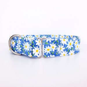 Blue Daisy Martingale Dog Collar: Adjustable Floral Print Collar