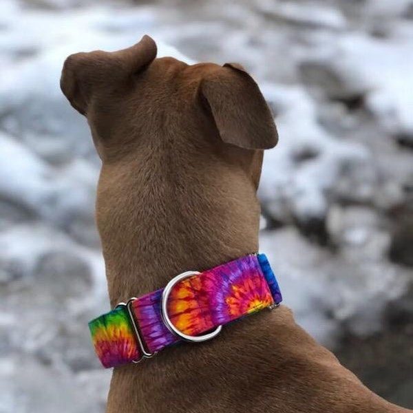 Martingale Dog Collar original Hippie Tie Dye Dog Collar Pride collar LGBTQIA - Size XS-XL- Adjustable - 3/4", 1", 1.5" or 2 inch wide