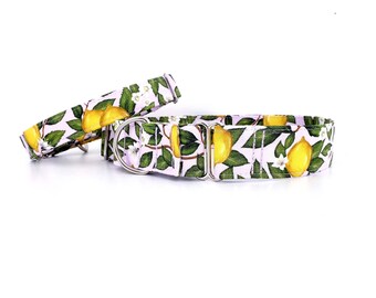 Yellow Lemons Dog Collar, escape proof Martingale Style, handmade to order