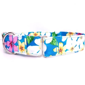 Martingale Flower Dog Collar Hawaiian Plumeria, size XS-XL Adjustable 3/4", 1", 1.5 inch or 2 inch wide, Tropical Dog Collar Blue Hibiscus