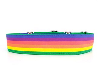 Collier pour chien martingale Pride - rayures arc-en-ciel, tailles réglables XS à XL
