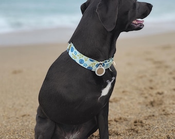 Martingale Dog Collar Blueberries - Gotcha Day Present - Escape Proof - Premium Cotton and Hardware