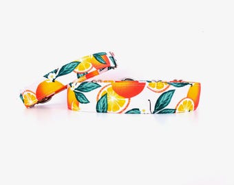Martingale Collar Oranges on Blush Pink, adjustable, washable, handmade