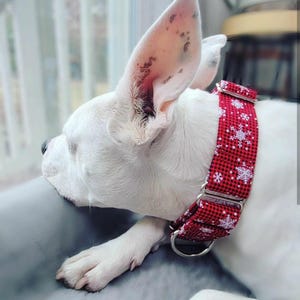 Martingale Dog Collar Snowflakes, Red Gingham Collar, adjustable size XS - XL, 1&quot; 1.5&quot; and 2 inch wide, Farmhouse Style Winter Collar