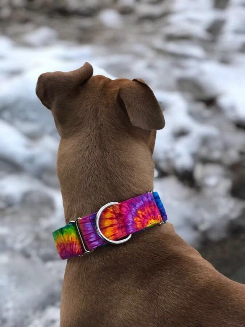 Martingale Dog Collar original Hippie Tie Dye Woodstock Size Etsy