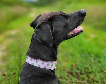 Pink Palm Tree Martingale Dog Collar: Tropical Beach Style XS to XL