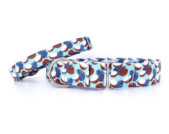 Coconut Dog Collar Martingale Style, adjustable puppy collar, handmade training collar