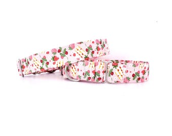 Martingale Dog Collar: Tossed Strawberries and Strawberry Shortcake, handmade