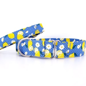 Collar Martingala para perro hecho a mano: Estampado de limones, margaritas y lunares