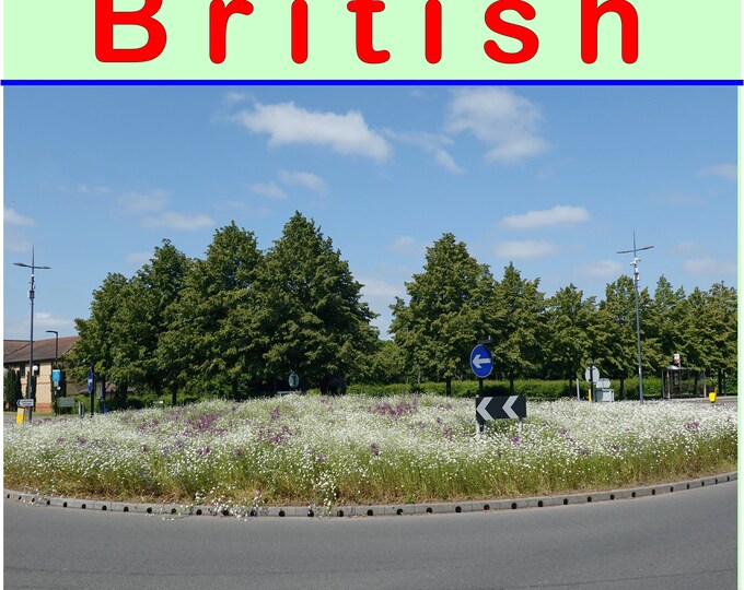 Best of British Roundabouts 2024 Wall Calendar Etsy UK