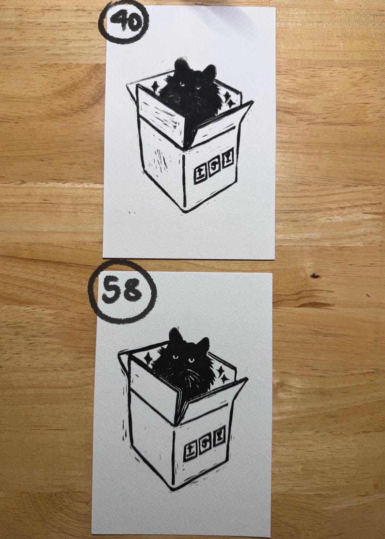 Pu&ograve; includere: Due stampe rettangolari bianche con un'illustrazione a inchiostro nero di un gatto soffice seduto dentro una scatola di cartone. La stampa superiore &egrave; contrassegnata dal numero 40 in un cerchio, quella inferiore dal numero 58 in un cerchio.