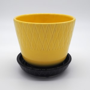 May include: A yellow ceramic planter with a diamond pattern and a black saucer.