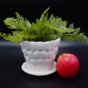 May include: A white ceramic planter with a textured surface, featuring a green leafy plant and a red apple. The planter has a saucer.