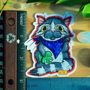 Glückspilz Katze