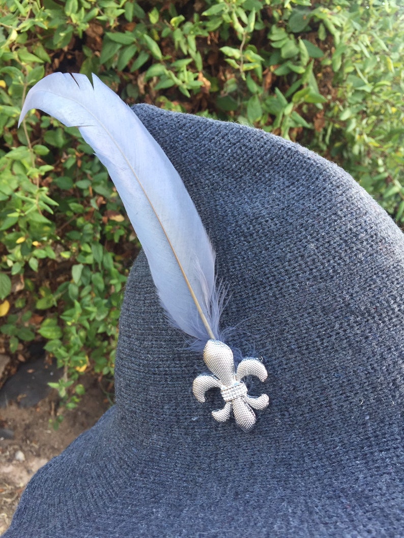 Fluer De Lis Wizard Hat