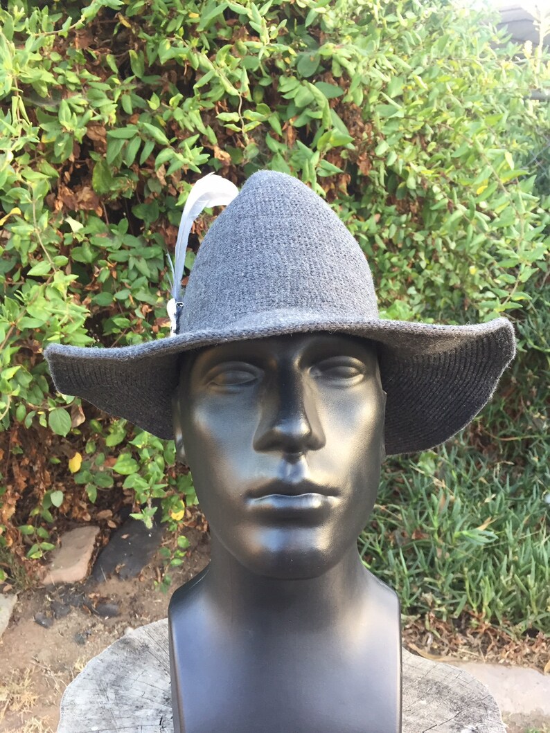 Fluer De Lis Wizard Hat
