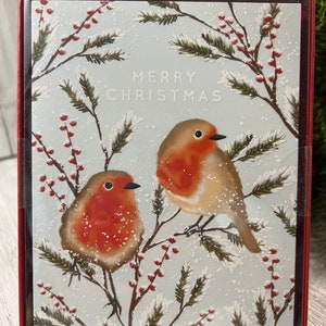Set van 12 kerstkaarten, doos Nieuw