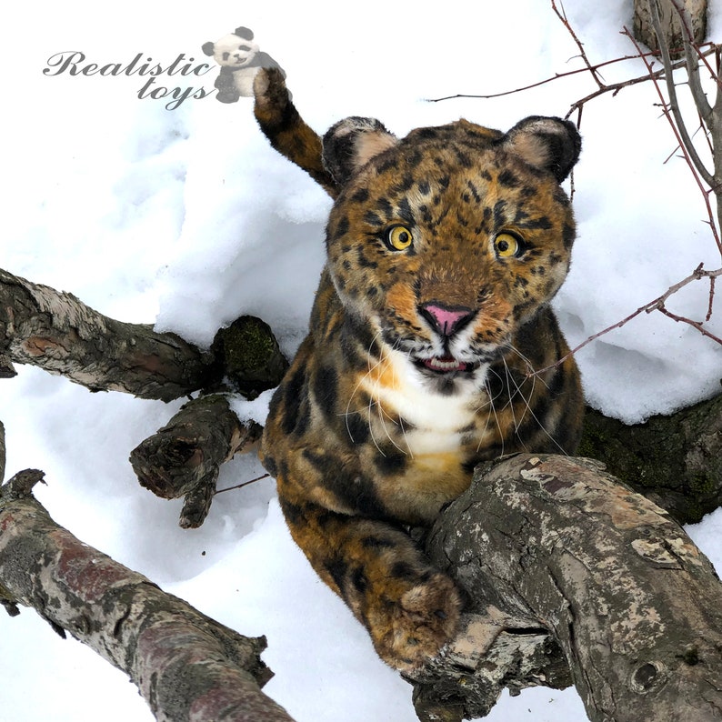 leopard teddy