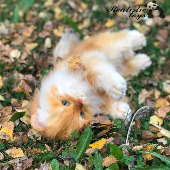 stuffed ginger cat