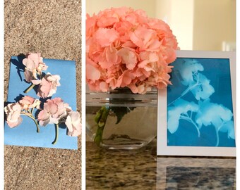 Impresión de cianotipo botánico de hortensia 5x7