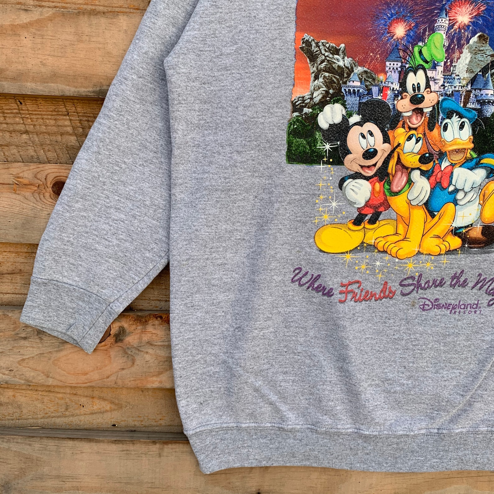 vintage disneyland sweatshirt