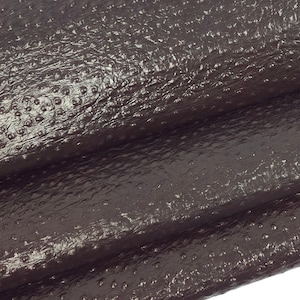 Struś Jawajski 2023 Tłoczona Tekstura Skóra