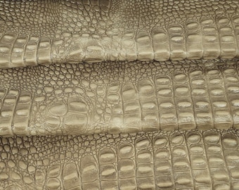 Baumhaus Krokodil Alligatorleder Geprägte Textur Erstaunliches Relief 0Z 2018
