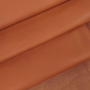 Autunno Dritton Naturale Pieno Fiore Morbido Nappa Con Aspetto Satinato