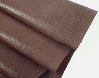 Medium Brown Ostrich 2024 Embossed Texture Bovine Leather