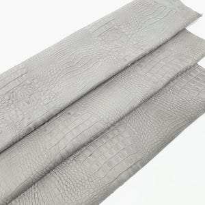 Steeple Gray Crocodile Alligator Leather Embossed Texture Amazing Relief OZ 2018 V2