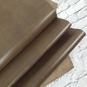 Shitake Pallermo Full Grain Fine Semi Shine Aniline Leather