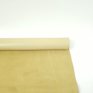 Pistacchio Shell Havana Sporty Classy Smooth Nappa Pelle a grana uniforme