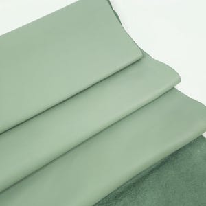 Pelle Nappa morbida pieno fiore in granito verde Droid Natural Shine