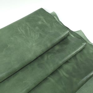 Cuir semi-brillant Green Bay Ciclone Hot Pull Up