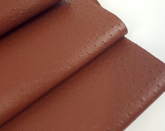 Brown Patina Ostrich 2024 Embossed Texture Bovine Leather