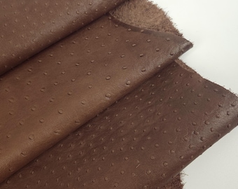 Beaver Fur Ostrich 2024 Embossed Texture Bovine Leather