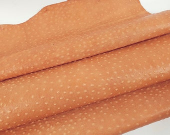 Peach Ostrich Embossed Relief Leather