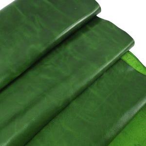 Cuir semi-brillant à rétracter chaud Ciclone pour jardin classique