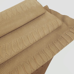 Peut inclure: Gros plan sur une pile de cuir brun avec un motif d'alligator texturé.
