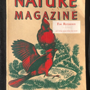 May include: A vintage cover of Nature Magazine from December 1947, featuring a red cardinal bird perched on a branch with green pine needles. The magazine cover is brown with green and red text. The text on the cover reads "Nature Magazine", "December, 1947", "50 Cents", "Vol. 40, No. 10", and "For Reference, Not to be taken from this room".